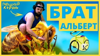 Бэбэй рассказывает историю про брата велосипед и пчёл