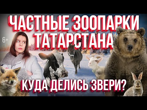 Частные зоопарки Татарстана. Куда делись звери Страшные