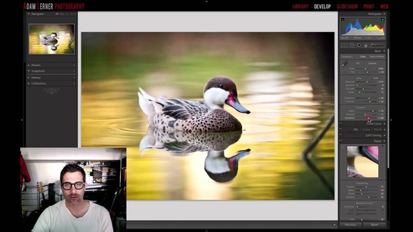 Edit this RAW File Week 42 Nature Photography