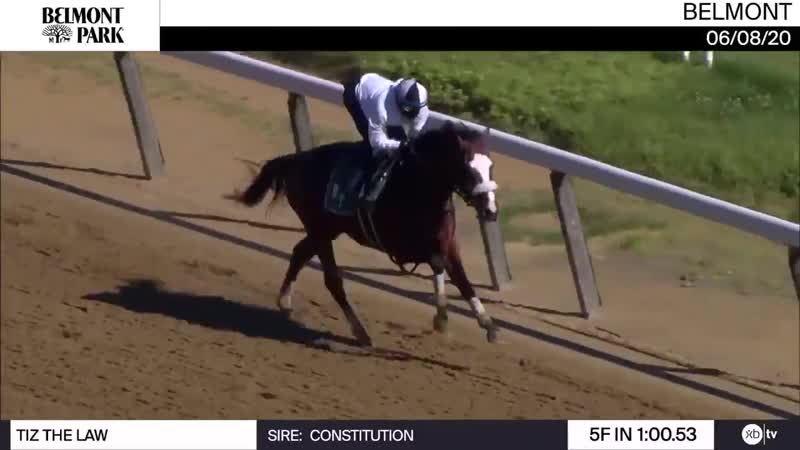 Tiz the Law Worked 5 Furlongs in at Belmont Park on June 8th, 2020, for trainer Barclay