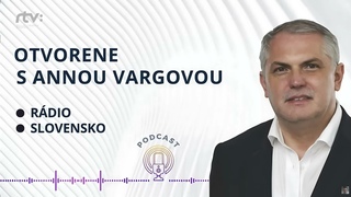 Bolo nutné odvolať Šimečku?