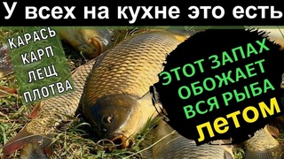 Секрет клёва рыбы найден! Этот запах карась чует летом за километр! Какой аромат любит рыба летом