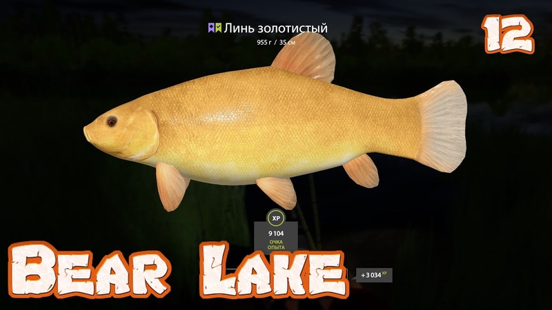 Russian Fishing 4 Bear Lake Golden Tench, Tench