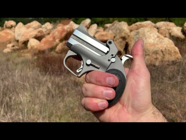 Bond Arms Roughneck