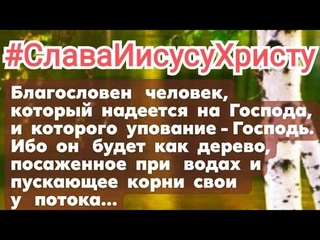 #СлаваИисусуХристу  Утренняя молитва #Хлебопреломление #АрхиепископСергейЖуравлев #МирВсем