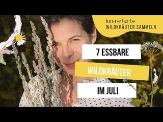 Diese 7 essbaren Wildpflanzen solltest du unbedingt im Juli sammeln und probieren