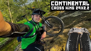 Continental cross king 29х2.2 | Лайтовый обзор #mtb #continental #обзор