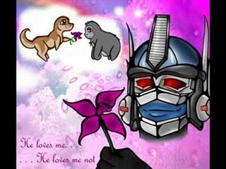 Transformers Slash Pairings