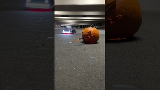 Last years Haloween special didnt go to plan! What should I try this year