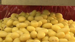 Restaurants : du surgel dans nos assiettes