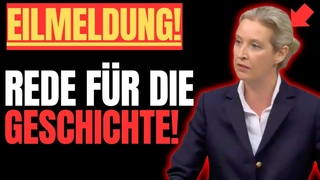 GÄNSEHAUT!💥ALICE WEIDEL sagt das was sich keiner traut und überzeugt selbst die Grünen!