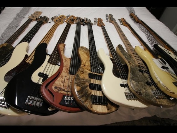 My entire bass collection Vlog, 55 Jan 23rd