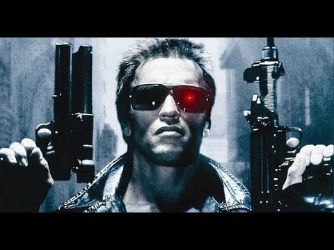 Terminator Perturbator ( Humans are such an easy