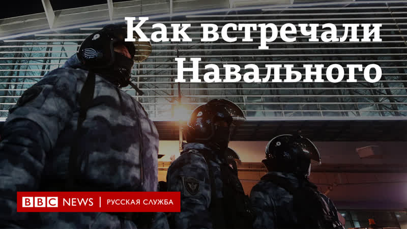 Навальный вернулся в Россию: как его