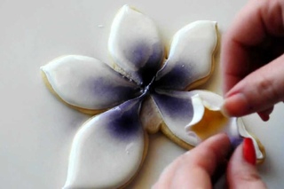 Orchids