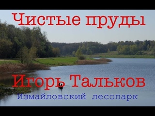 Игорь Тальков - Чистые пруды (Лесопарк Измайлово)