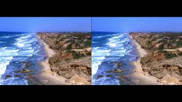 Albatross 3 D VR