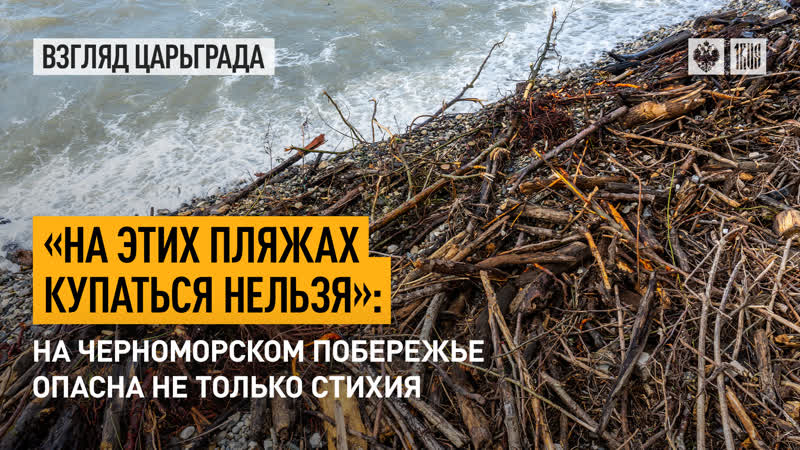 На этих пляжах купаться нельзя : На Черноморском побережье