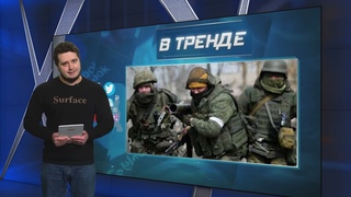 Захватчики в повязках нацистских коллаборационистов убили собачку в Мелитополе | В ТРЕНДЕ