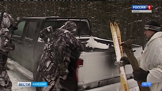 Медведя, который беспокоил жителей в Муезерском районе, поймали егери