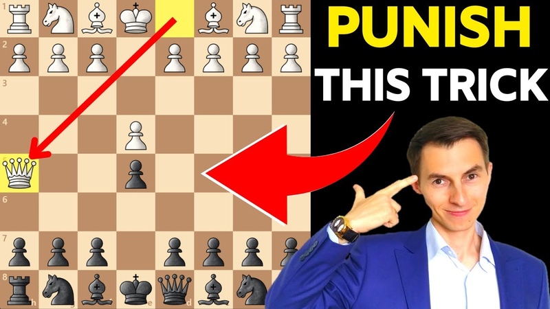 How To PUNISH Early Queen Attacks Scholars