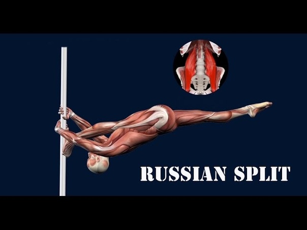 How to Pole Dance Russian Split Progression Tutorial Muscle Animation Easy