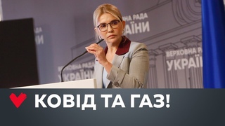 «#Батьківщина» вимагає переглянути бюджети на нинішній та наступний роки