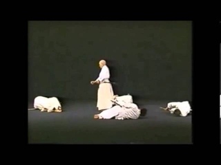 Hakuo Sagawa - Muso Shinden-ryu: Okuiai Suwariwaza (detailed)