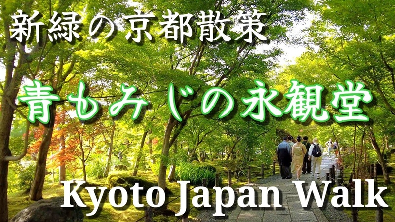 5, 10(水)京都の新緑 青もみじも美しい永観堂を歩く 4 K Eikando Temple Walk, Fresh green