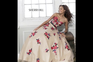 SHERRI HILL 21340