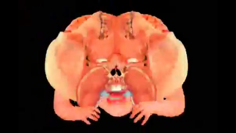 Zombieflesheater Face