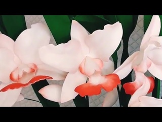 Orqudea Walqueriana em Eva ...
