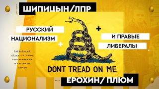 Русский национализм в Дивном Новом Мире: либертарианец, ПЛЮМовец, Сыч, Погром #CzarStream #CZARTV