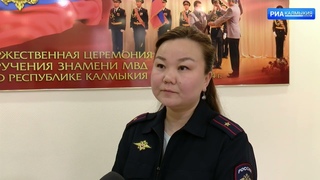 Житель Элисты перевозил в машине 111 экземпляров незаконно добытой рыбы осетровых пород