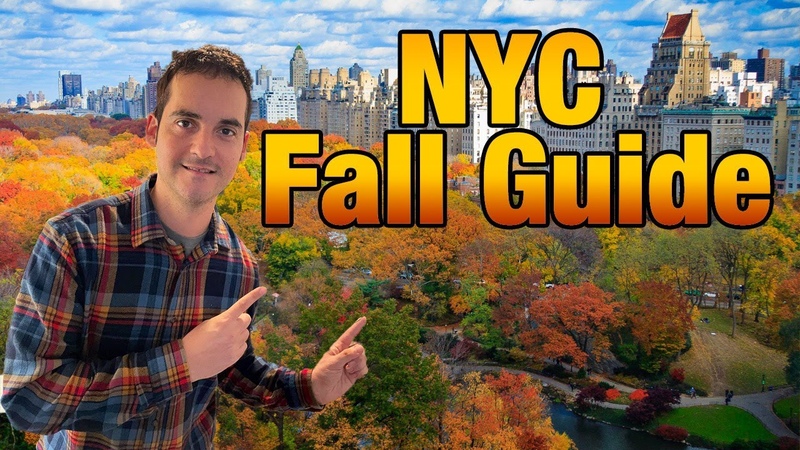 2021 NYC Fall Guide: 7 AMAZING Things To