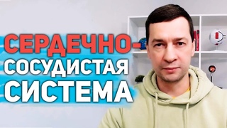 Где быстрее заживают раны ? (Андрей Лукашевич)