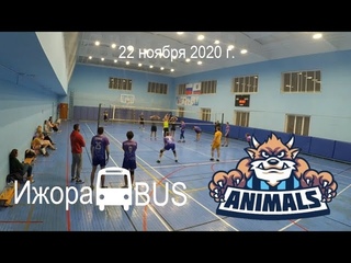 Ижора BUS  Animals (0:3), , КВЛ, Медиум-Юг