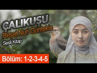 alkuu - Blm 1 - 2 - 3 - 4 - 5 - Reat Nuri Gntekin - Sesli Kitap