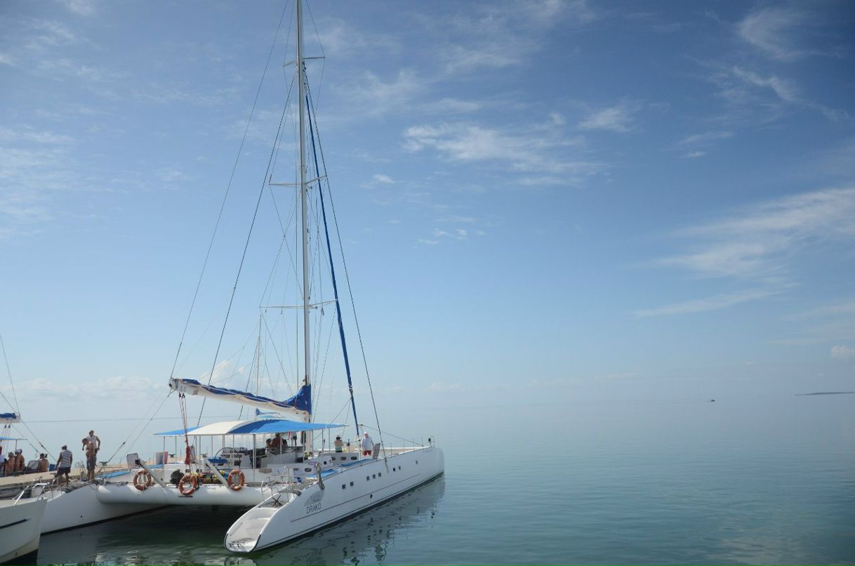 Сергей Желнинский Александрович | Воронеж