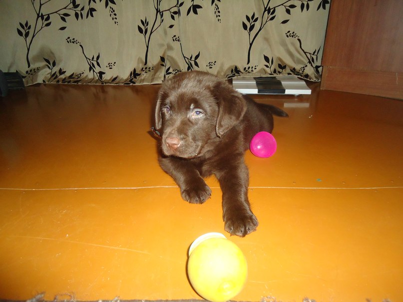 Женя Каргу | Бабаево