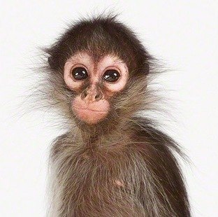 Виктория Аубеле | Березники