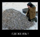 Алексей Могилан, 37 лет, Карасук, Россия, 21.01.1988