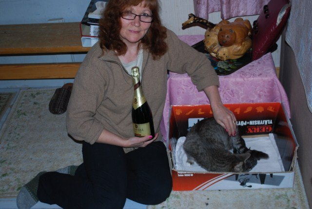 Tanja Huitsi | Helsinki