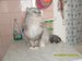Ник Каморин фотография #15
