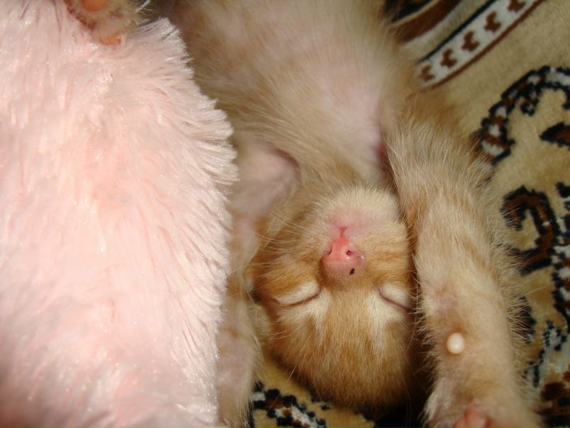 №10, Наташа Щербина, Днепр (Днепропетровск) №10, Наташа Щербина, Днепр (Днепропетровск)