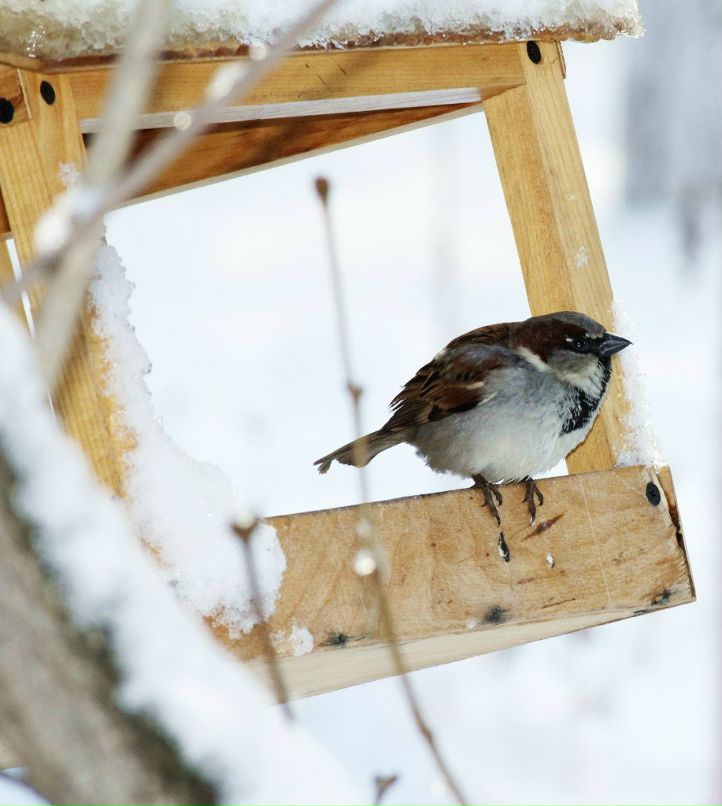Марина Нигматуллина | Тюмень
