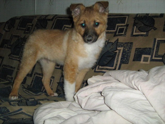 Данила Иваков Shilonk | Нижний Тагил