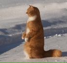 №10, Дмитрий Полевин, 28.6.1985, 40 лет, Санкт-Петербург, Россия