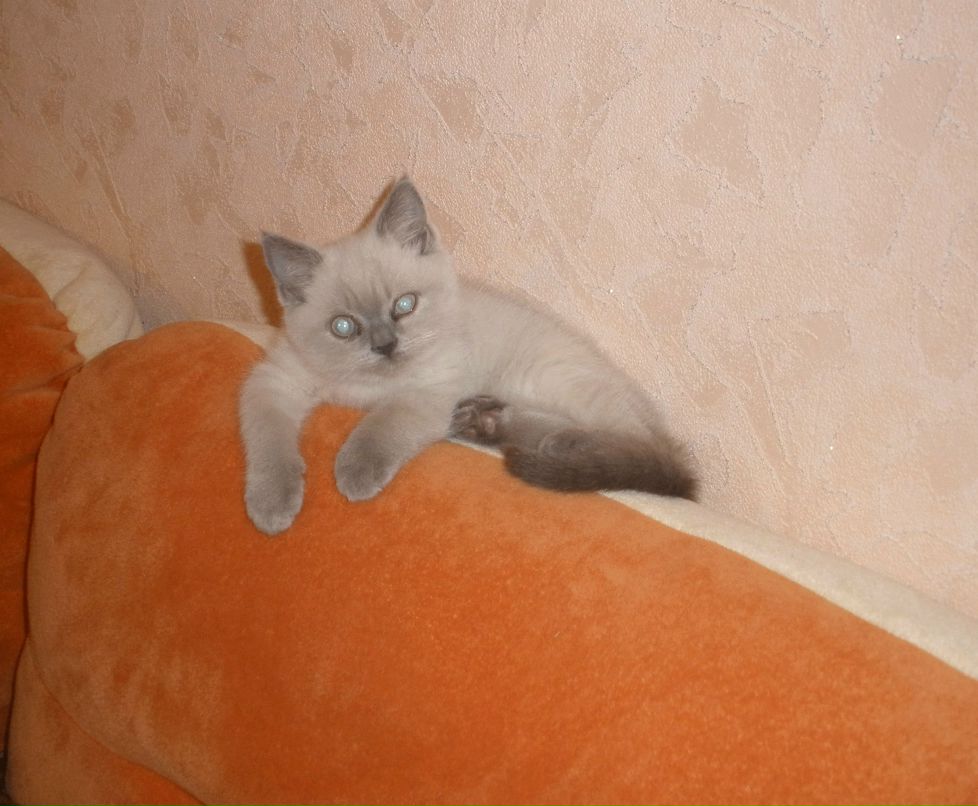 Екатерина Кушнерова | Минск