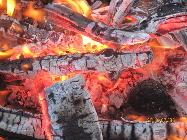 №167, Татьяна Каменева №167, Татьяна Каменева